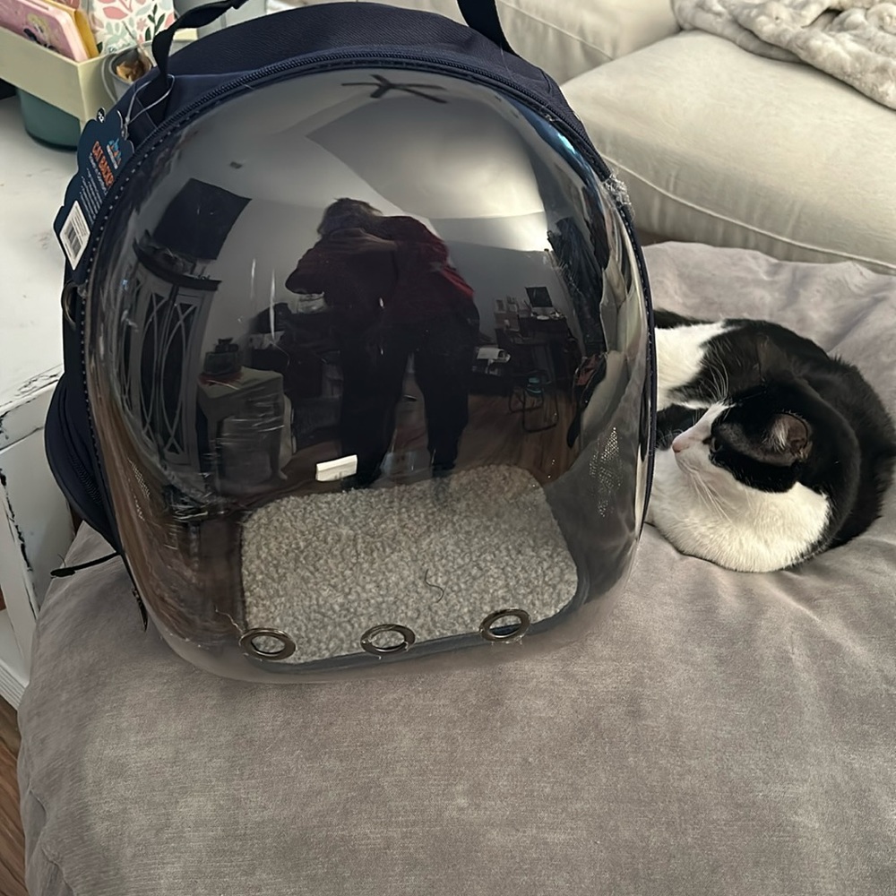 CAT BACKPACK CARRIER 😻